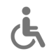 Plaza lagrange icono discapacitados
